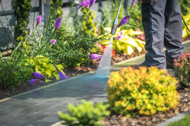 Best Spring Cleaning  in North Kansas City, MO